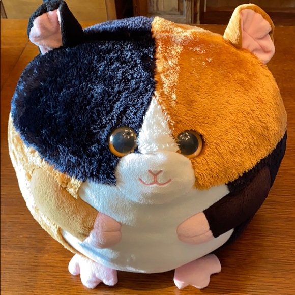 guinea pig beanie boo